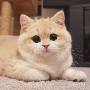 Meet your Posher, Leanna